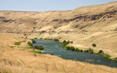 Deschutes River Alliance